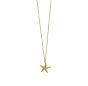 14k Gold Starfish Necklace