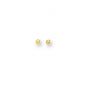 14K Gold Polished 4mm Post Earring