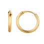 10K Gold Mini Endless Hoop Earring