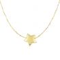 14K Gold Puffed Star Necklace