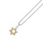 Silver & 18K Gold Men's Star Of David Necklace