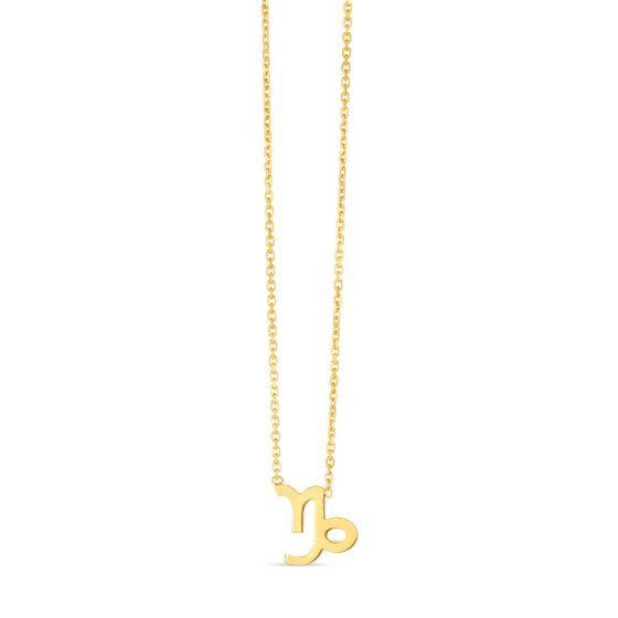 14K Gold Capricorn Necklace