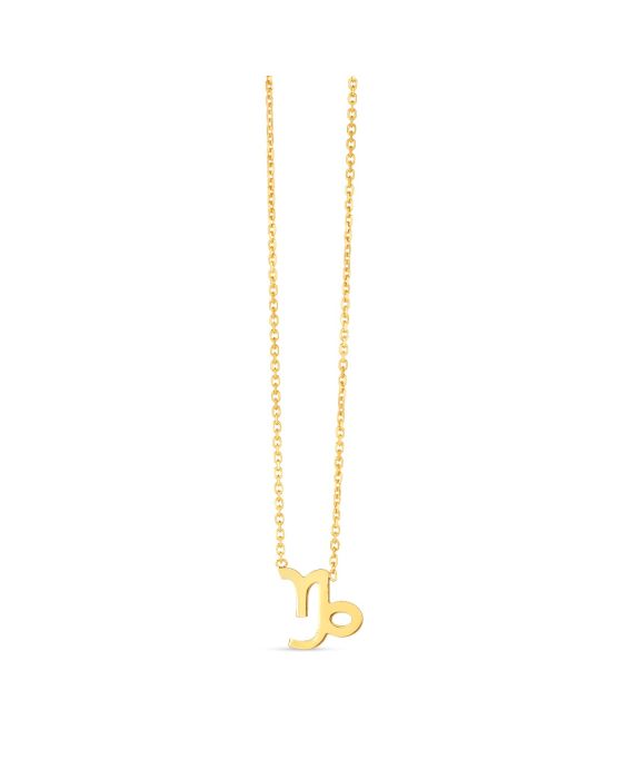 14K Gold Capricorn Necklace