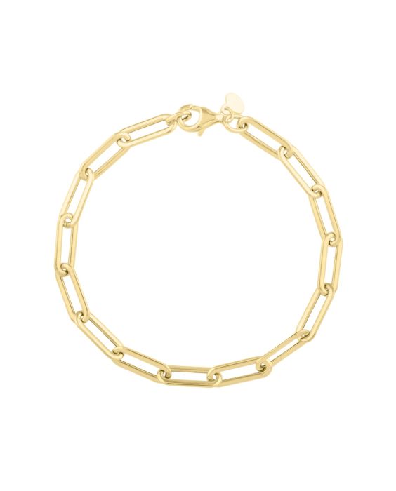 14K Long Domed Paperclip Chain