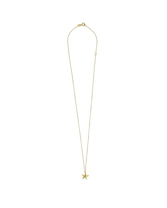 14k Gold Starfish Necklace