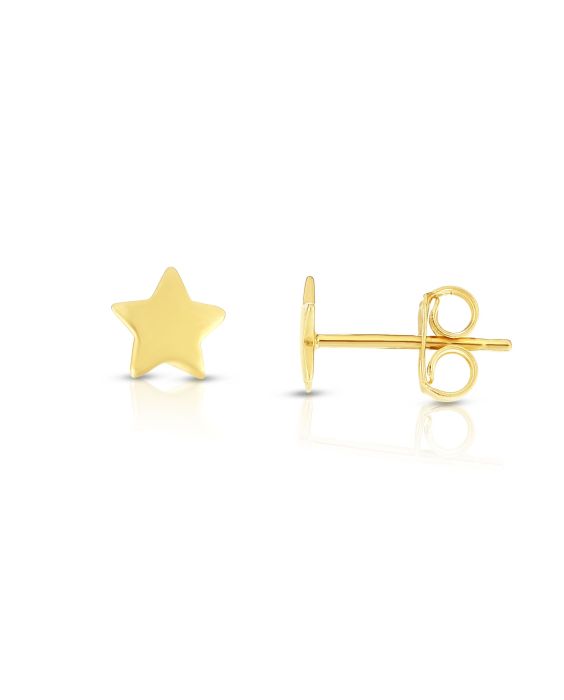 14K Gold Polished Star Stud Earring