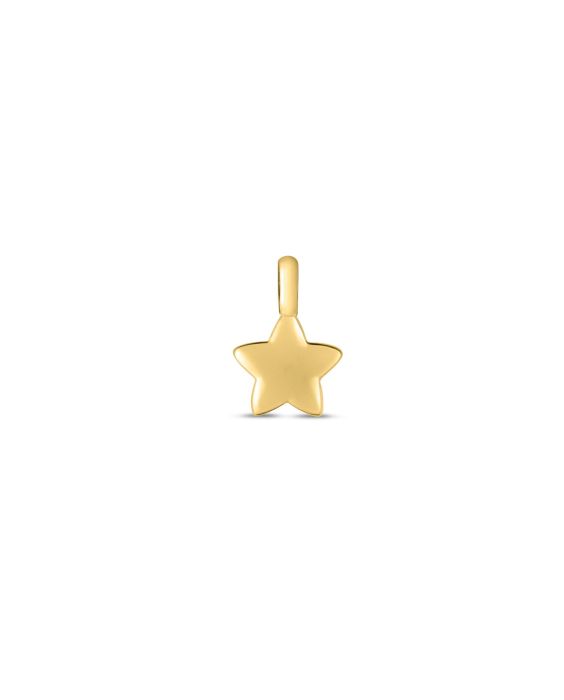 14K Star Charm