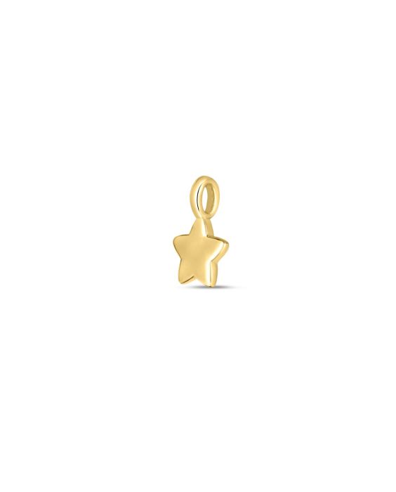 14K Star Charm