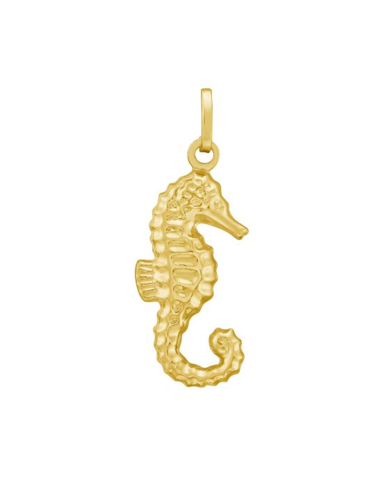14K Seahorse Charm