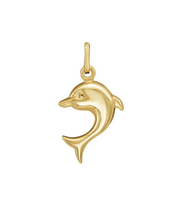 14K Dolphin Charm