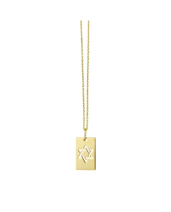 14K Gold Star of David Tag Necklace