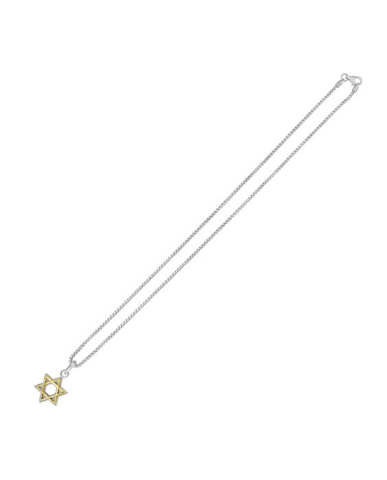 Silver & 18K Gold Men's Star Of David Necklace