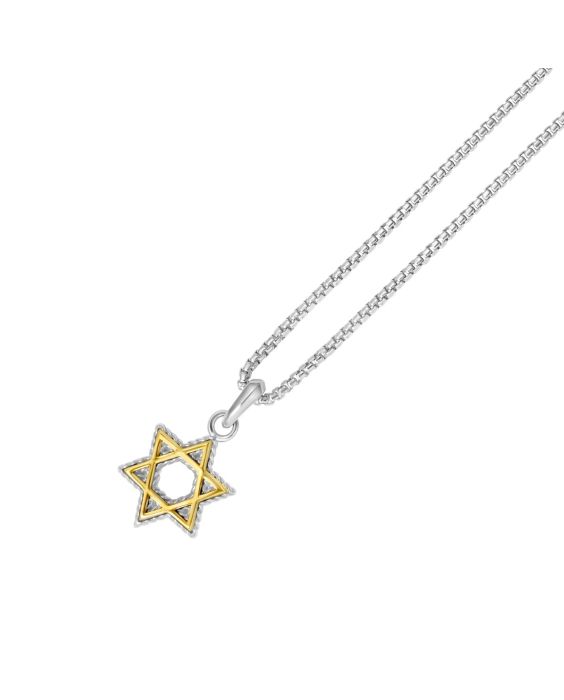 Silver & 18K Gold Men's Star Of David Necklace