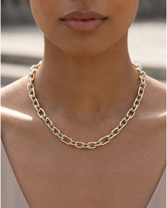 Silver & 18K Lucida Five & One Paperclip Link Necklace