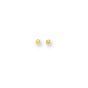 14K Gold Polished 4mm Post Earring