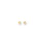 14K Gold Polished 5mm Post Earring