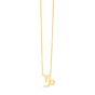 14K Gold Capricorn Necklace