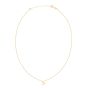 14K Gold Capricorn Necklace