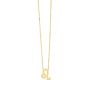 14K Gold Leo Necklace