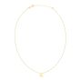 14K Gold Leo Necklace
