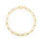 14K Long Domed Paperclip Chain