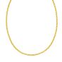 14K 3.3mm Charm Links Chain