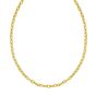 14K Charm Lock Rolo Chain