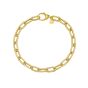 14K Charm Lock Paperclip Chain