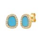 14K Diamond & Turquoise Freeform Cushion Earrings