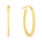 14K Gold Oval Concentric Hoops