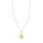 14K Star of David Prosecco Pendant