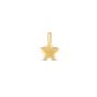 14K Star Charm