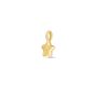 14K Star Charm