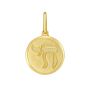 14K Yellow Chai Medallion Charm