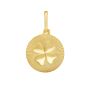 14K Clover Medallion Charm