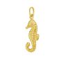 14K Seahorse Charm