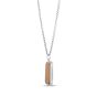 Men's Silver Tiger's Eye Tag Necklace