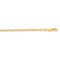 14K Gold 2.5mm Lite Rolo Chain