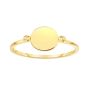 14K Gold Polished Disc Ring