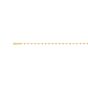 14K Gold 1.7mm Sparkle Valentino Chain 