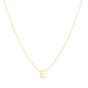 RCE13324_NECKLACE.jpg