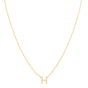 RCH13324_NECKLACE.jpg