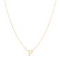 RCP13324_NECKLACE.jpg