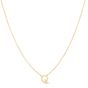 RCQ13324_NECKLACE.jpg
