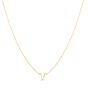 RCV13324_NECKLACE.jpg