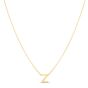 RCZ13324_NECKLACE.jpg