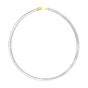 14K Gold 6mm Reversible Bi Metal Omega