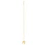 14K Horse & Horseshoe Pendant 