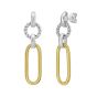 Silver & 18K Gold Links Earrings