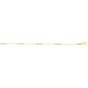 14K Tri-color Gold Diamond Cut Bead Station Anklet